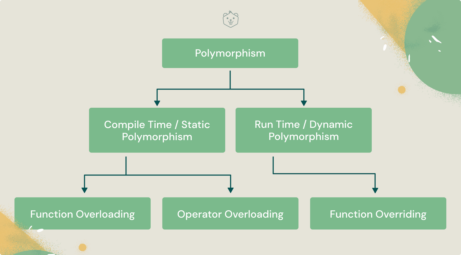 Understand Polymorphism in C++ with Simple Examples